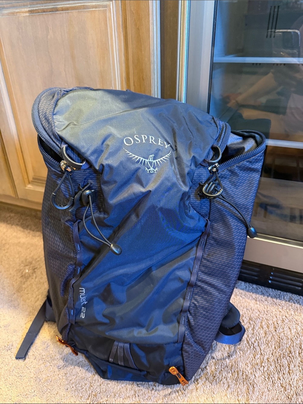 OSPREY Dark Navy Blue Daypack with Hydration Sleeve
